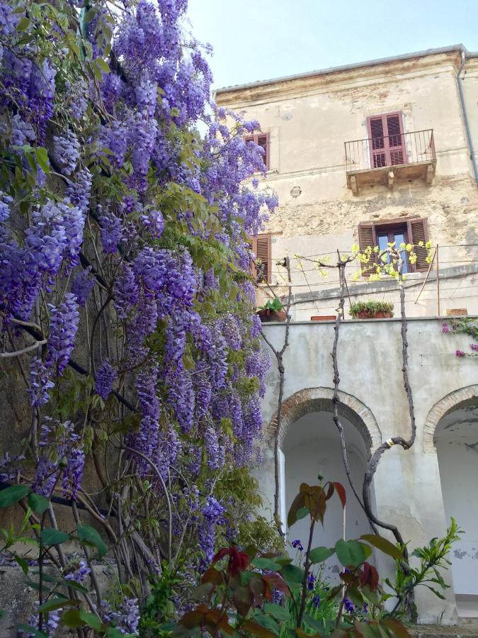 לינה וארוחת בוקר Rosciano  Palazzo De Fabritiis מראה חיצוני תמונה